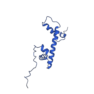 32995_7x3w_G_v1-3
Cryo-EM structure of ISW1-N1 nucleosome