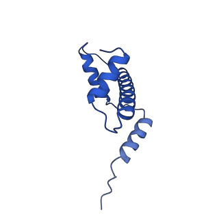 32996_7x3x_A_v1-3
Cryo-EM structure of N1 nucleosome-RA