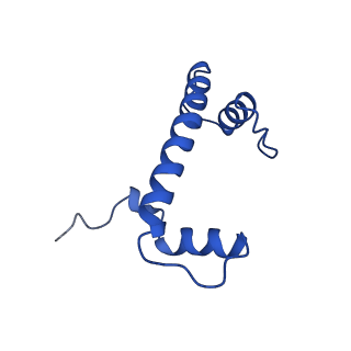 32996_7x3x_B_v1-3
Cryo-EM structure of N1 nucleosome-RA