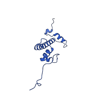 32996_7x3x_C_v1-2
Cryo-EM structure of N1 nucleosome-RA