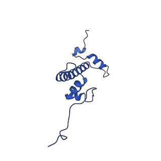 32996_7x3x_C_v1-3
Cryo-EM structure of N1 nucleosome-RA