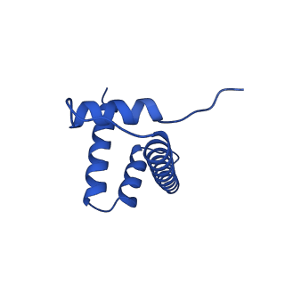 32996_7x3x_D_v1-3
Cryo-EM structure of N1 nucleosome-RA