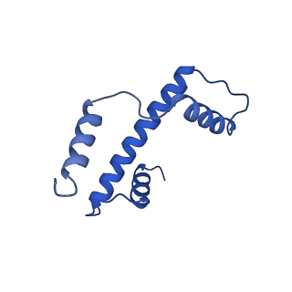 32996_7x3x_E_v1-3
Cryo-EM structure of N1 nucleosome-RA