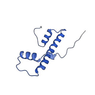 32996_7x3x_F_v1-2
Cryo-EM structure of N1 nucleosome-RA