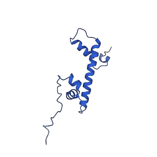 32996_7x3x_G_v1-2
Cryo-EM structure of N1 nucleosome-RA