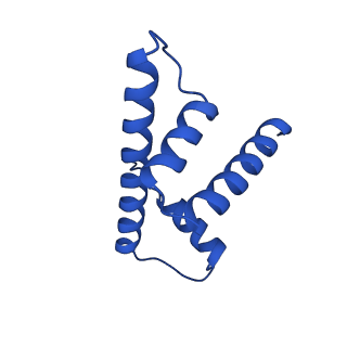 32996_7x3x_H_v1-2
Cryo-EM structure of N1 nucleosome-RA