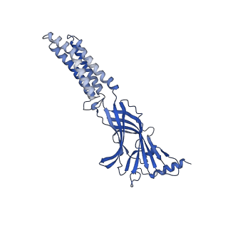 22038_6x40_A_v1-2
Human GABAA receptor alpha1-beta2-gamma2 subtype in complex with GABA plus picrotoxin