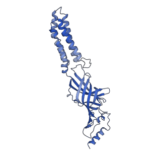 22038_6x40_C_v1-2
Human GABAA receptor alpha1-beta2-gamma2 subtype in complex with GABA plus picrotoxin
