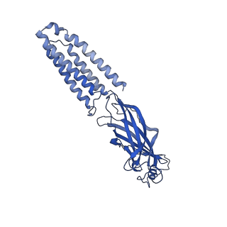 22038_6x40_E_v1-2
Human GABAA receptor alpha1-beta2-gamma2 subtype in complex with GABA plus picrotoxin