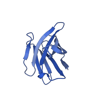 22038_6x40_K_v1-2
Human GABAA receptor alpha1-beta2-gamma2 subtype in complex with GABA plus picrotoxin