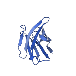 22038_6x40_K_v2-0
Human GABAA receptor alpha1-beta2-gamma2 subtype in complex with GABA plus picrotoxin