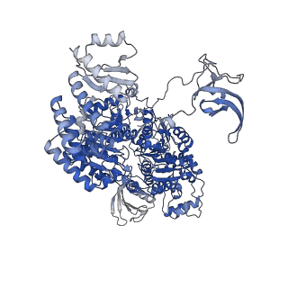 22039_6x43_A_v1-0
Mfd-bound E.coli RNA polymerase elongation complex - II state