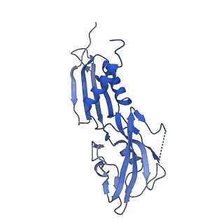 22039_6x43_H_v1-0
Mfd-bound E.coli RNA polymerase elongation complex - II state