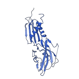 22039_6x43_H_v1-1
Mfd-bound E.coli RNA polymerase elongation complex - II state