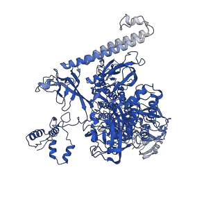 22039_6x43_I_v1-0
Mfd-bound E.coli RNA polymerase elongation complex - II state