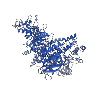 22039_6x43_J_v1-0
Mfd-bound E.coli RNA polymerase elongation complex - II state