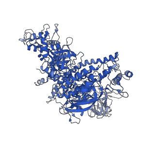 22039_6x43_J_v1-1
Mfd-bound E.coli RNA polymerase elongation complex - II state