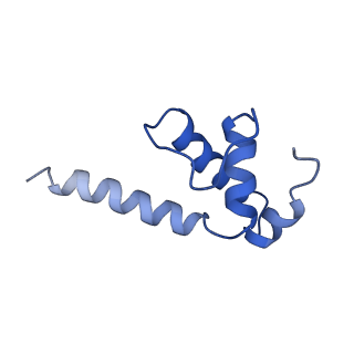 22039_6x43_K_v1-0
Mfd-bound E.coli RNA polymerase elongation complex - II state