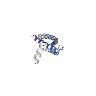 22042_6x4s_A_v1-2
MCU-EMRE complex of a metazoan mitochondrial calcium uniporter