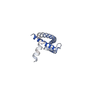 22042_6x4s_A_v1-3
MCU-EMRE complex of a metazoan mitochondrial calcium uniporter