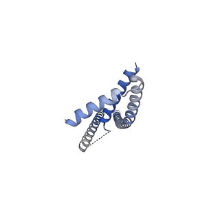 22042_6x4s_B_v1-2
MCU-EMRE complex of a metazoan mitochondrial calcium uniporter