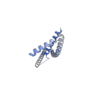 22042_6x4s_B_v1-3
MCU-EMRE complex of a metazoan mitochondrial calcium uniporter