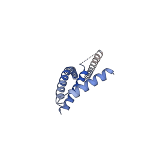 22042_6x4s_D_v1-2
MCU-EMRE complex of a metazoan mitochondrial calcium uniporter