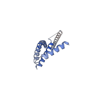 22042_6x4s_D_v1-3
MCU-EMRE complex of a metazoan mitochondrial calcium uniporter