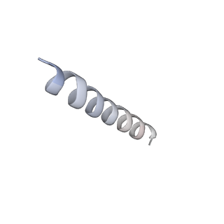 22042_6x4s_E_v1-3
MCU-EMRE complex of a metazoan mitochondrial calcium uniporter