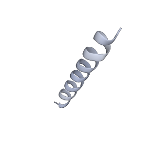 22042_6x4s_F_v1-3
MCU-EMRE complex of a metazoan mitochondrial calcium uniporter