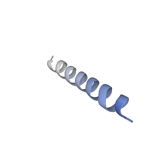 22042_6x4s_G_v1-3
MCU-EMRE complex of a metazoan mitochondrial calcium uniporter