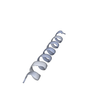 22042_6x4s_H_v1-3
MCU-EMRE complex of a metazoan mitochondrial calcium uniporter