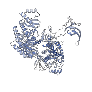 22043_6x4w_A_v1-0
Mfd-bound E.coli RNA polymerase elongation complex - III state