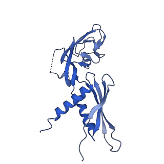 22043_6x4w_G_v1-0
Mfd-bound E.coli RNA polymerase elongation complex - III state
