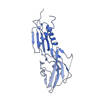 22043_6x4w_H_v1-0
Mfd-bound E.coli RNA polymerase elongation complex - III state