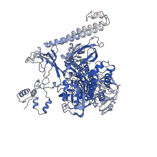 22043_6x4w_I_v1-0
Mfd-bound E.coli RNA polymerase elongation complex - III state
