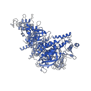 22043_6x4w_J_v1-0
Mfd-bound E.coli RNA polymerase elongation complex - III state