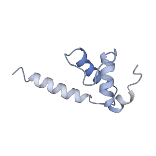 22043_6x4w_K_v1-0
Mfd-bound E.coli RNA polymerase elongation complex - III state