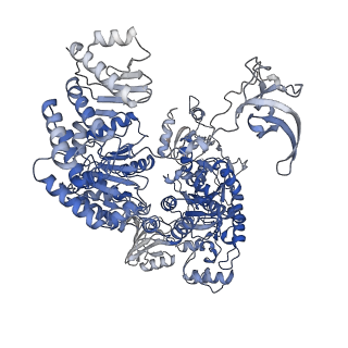 22044_6x4y_A_v1-0
Mfd-bound E.coli RNA polymerase elongation complex - IV state