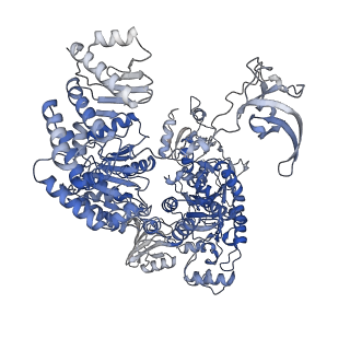 22044_6x4y_A_v1-1
Mfd-bound E.coli RNA polymerase elongation complex - IV state