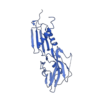 22044_6x4y_H_v1-0
Mfd-bound E.coli RNA polymerase elongation complex - IV state