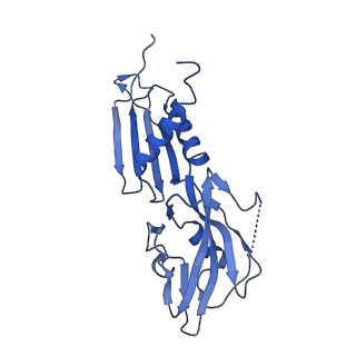 22044_6x4y_H_v1-1
Mfd-bound E.coli RNA polymerase elongation complex - IV state