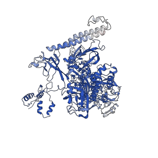 22044_6x4y_I_v1-0
Mfd-bound E.coli RNA polymerase elongation complex - IV state