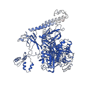 22044_6x4y_I_v1-1
Mfd-bound E.coli RNA polymerase elongation complex - IV state