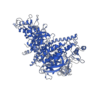 22044_6x4y_J_v1-0
Mfd-bound E.coli RNA polymerase elongation complex - IV state