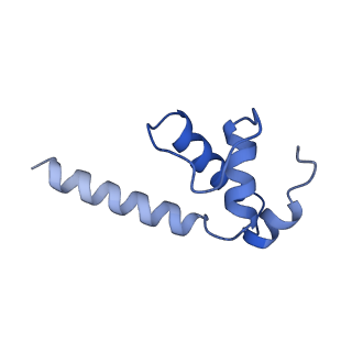 22044_6x4y_K_v1-0
Mfd-bound E.coli RNA polymerase elongation complex - IV state