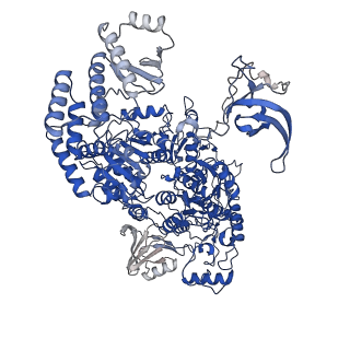 22045_6x50_A_v1-0
Mfd-bound E.coli RNA polymerase elongation complex - V state