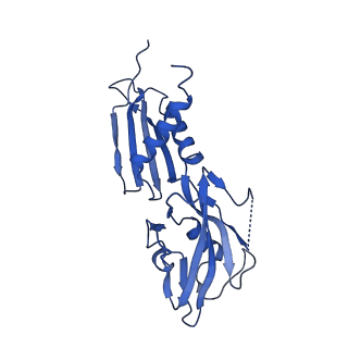22045_6x50_H_v1-0
Mfd-bound E.coli RNA polymerase elongation complex - V state