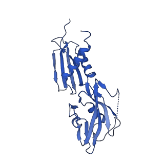 22045_6x50_H_v1-1
Mfd-bound E.coli RNA polymerase elongation complex - V state