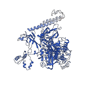 22045_6x50_I_v1-0
Mfd-bound E.coli RNA polymerase elongation complex - V state